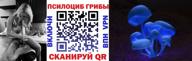 Купить закладки  Дальнереченск  Галлюциногенные грибы мицелий 